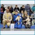 jrt_bestpup_2487_2445 jrt_bestpup_2487_2445