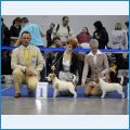 jrt_bestjun_2450_2492 jrt_bestjun_2450_2492