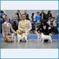 jrt_bestmale_2472_2470 jrt_bestmale_2472_2470